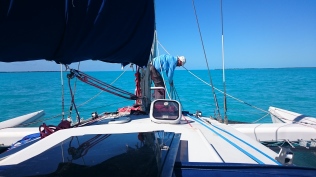 An Excellent Foredeck Hand!